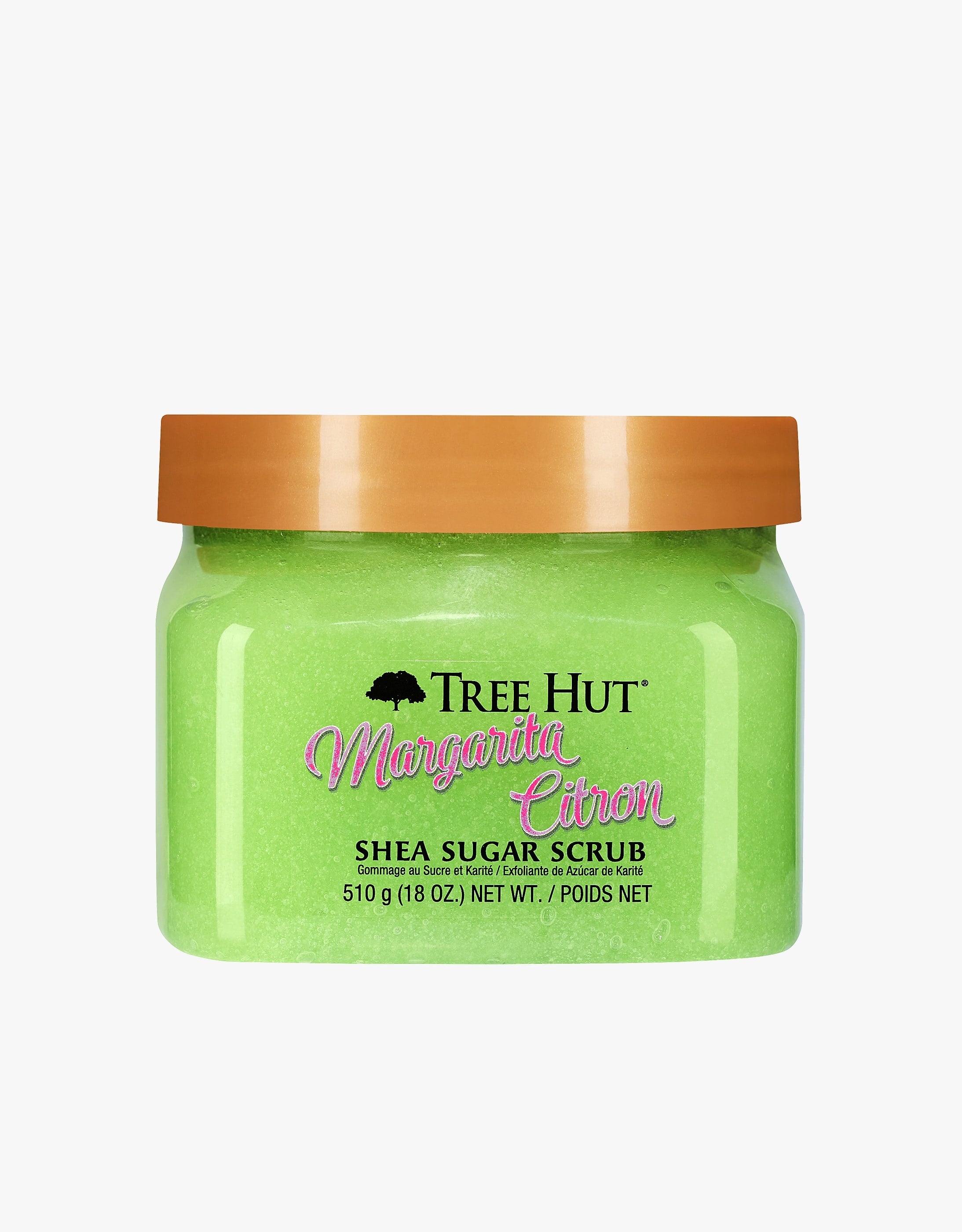 Tree hut mail.ddgusev.soisweb.uwm.edu