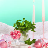 Merry Mint Lip Butter